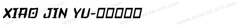 XIAO JIN YU字体转换